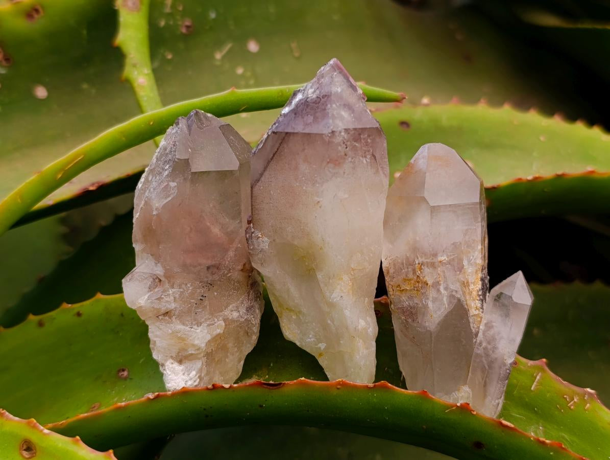Natural Red Hematoid Quartz Crystals x 24 From Karoi, Zimbabwe