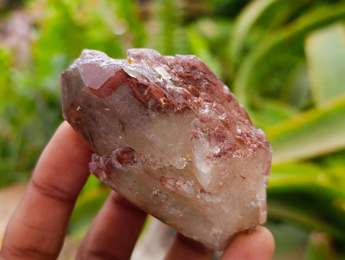 Natural Red Hematoid Quartz Crystals x 24 From Karoi, Zimbabwe