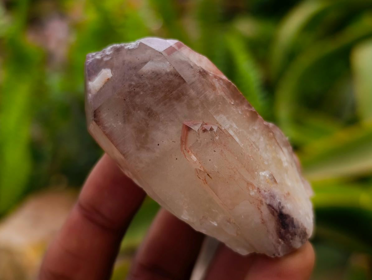 Natural Red Hematoid Quartz Crystals x 24 From Karoi, Zimbabwe
