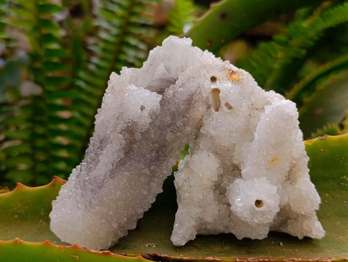 Natural Drusy Snow Finger Crystals x 12 From Albert's Mountain, Lesotho