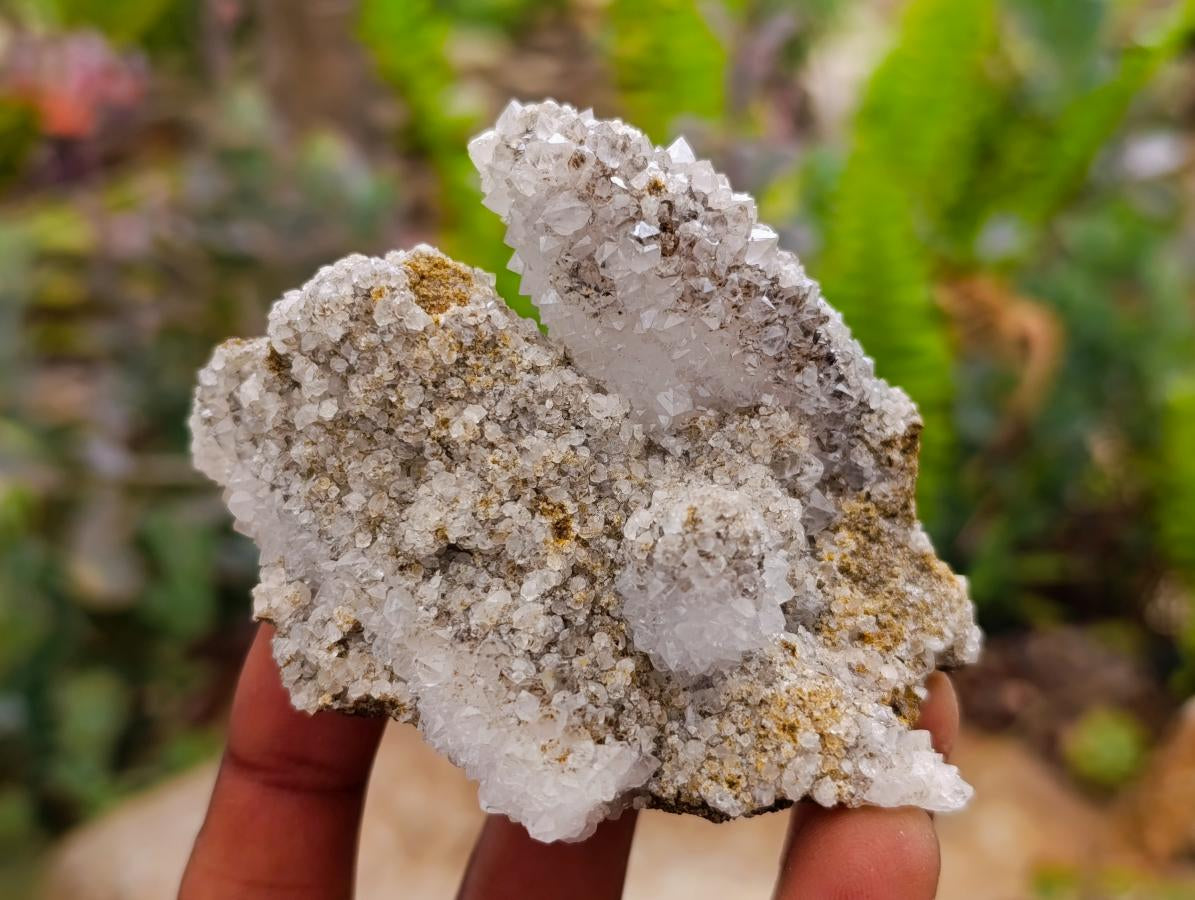 Natural Drusy Snow Finger Crystals x 12 From Albert's Mountain, Lesotho