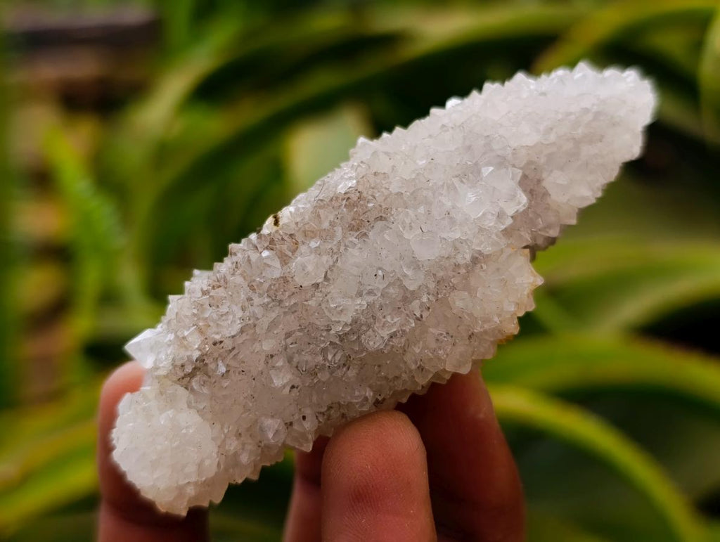 Natural Drusy Snow Finger Crystals x 12 From Albert's Mountain, Lesotho