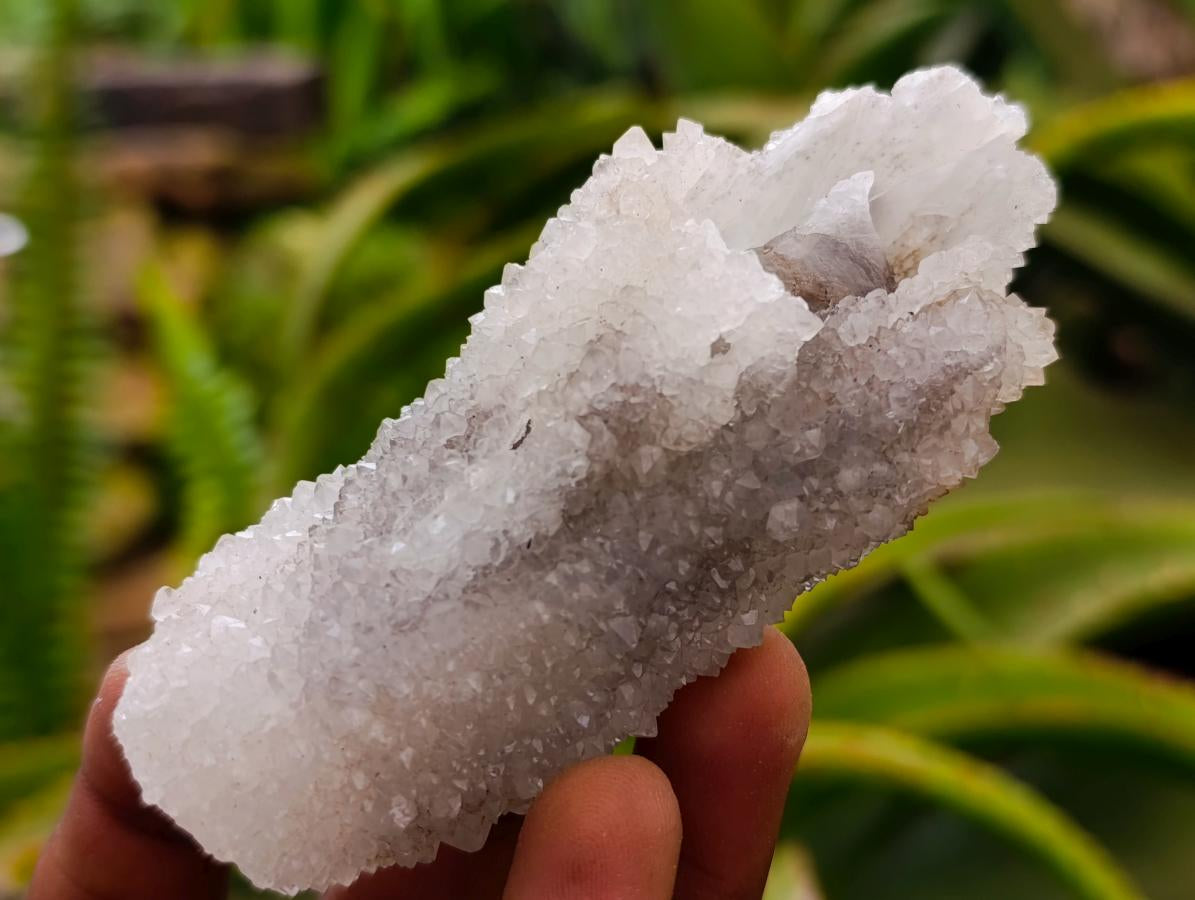 Natural Drusy Snow Finger Crystals x 12 From Albert's Mountain, Lesotho