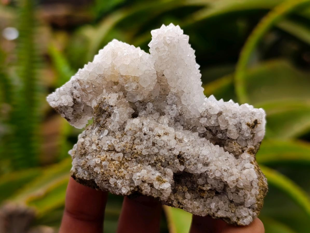 Natural Drusy Snow Finger Crystals x 12 From Albert's Mountain, Lesotho