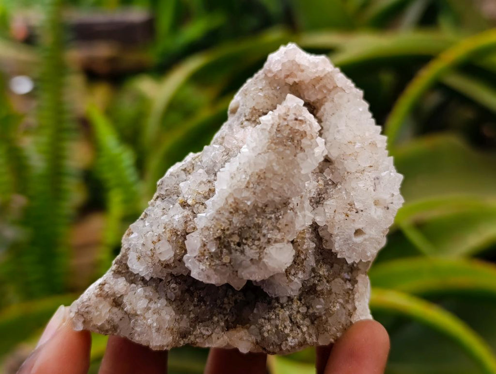 Natural Drusy Snow Finger Crystals x 12 From Albert's Mountain, Lesotho