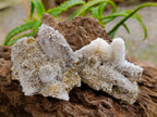 Natural Drusy Snow Finger Crystals x 12 From Albert's Mountain, Lesotho