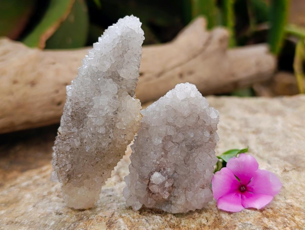 Natural Drusy Snow Finger Crystals x 12 From Albert's Mountain, Lesotho