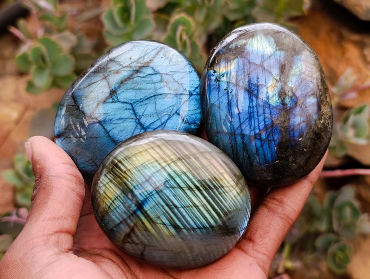 Polished Large Labradorite Palm Stones x 12 From Tulear, Madagascar