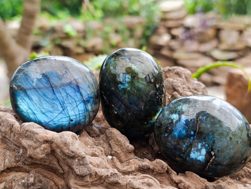 Polished Large Labradorite Palm Stones x 12 From Tulear, Madagascar
