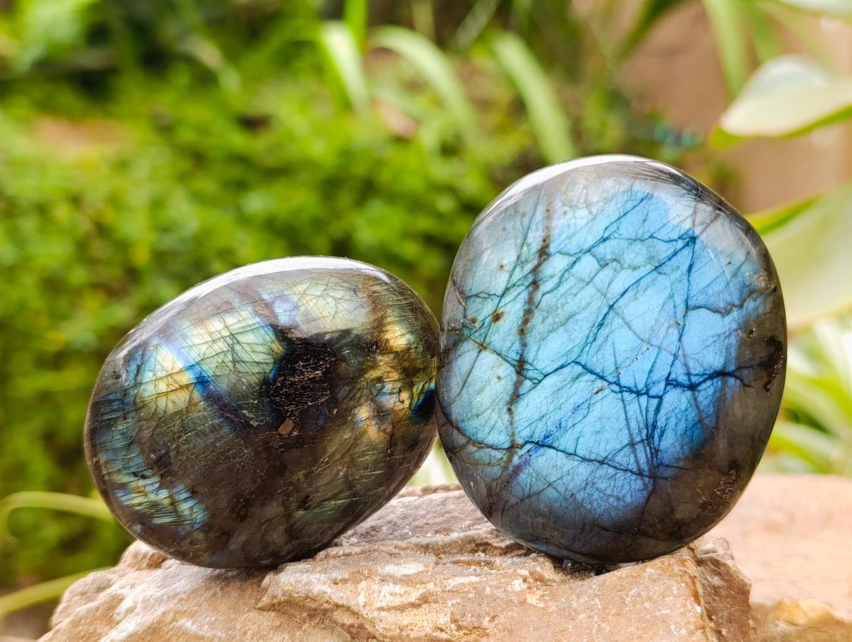 Polished Large Labradorite Palm Stones x 12 From Tulear, Madagascar