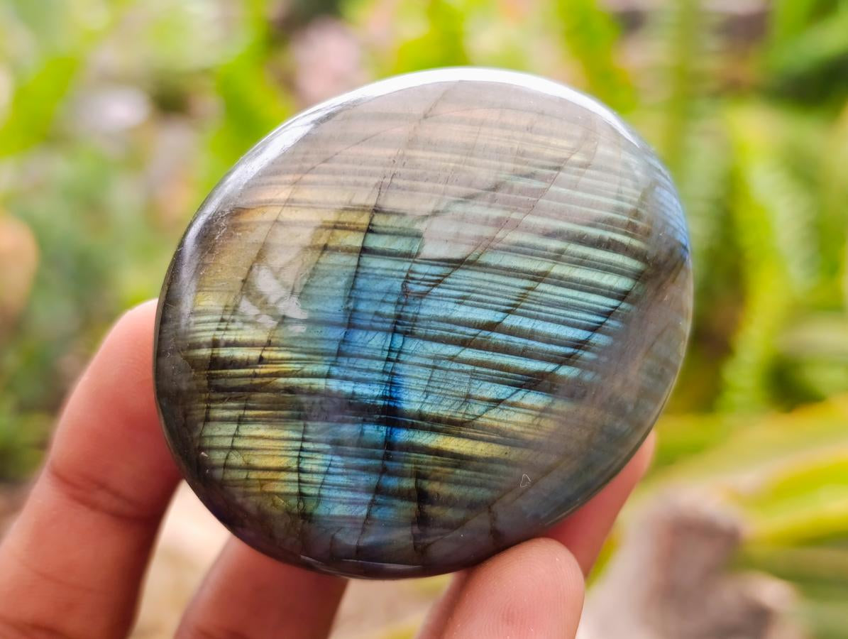 Polished Large Labradorite Palm Stones x 12 From Tulear, Madagascar