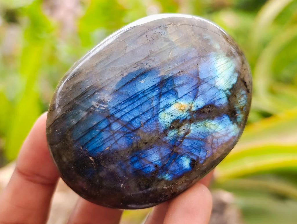 Polished Large Labradorite Palm Stones x 12 From Tulear, Madagascar