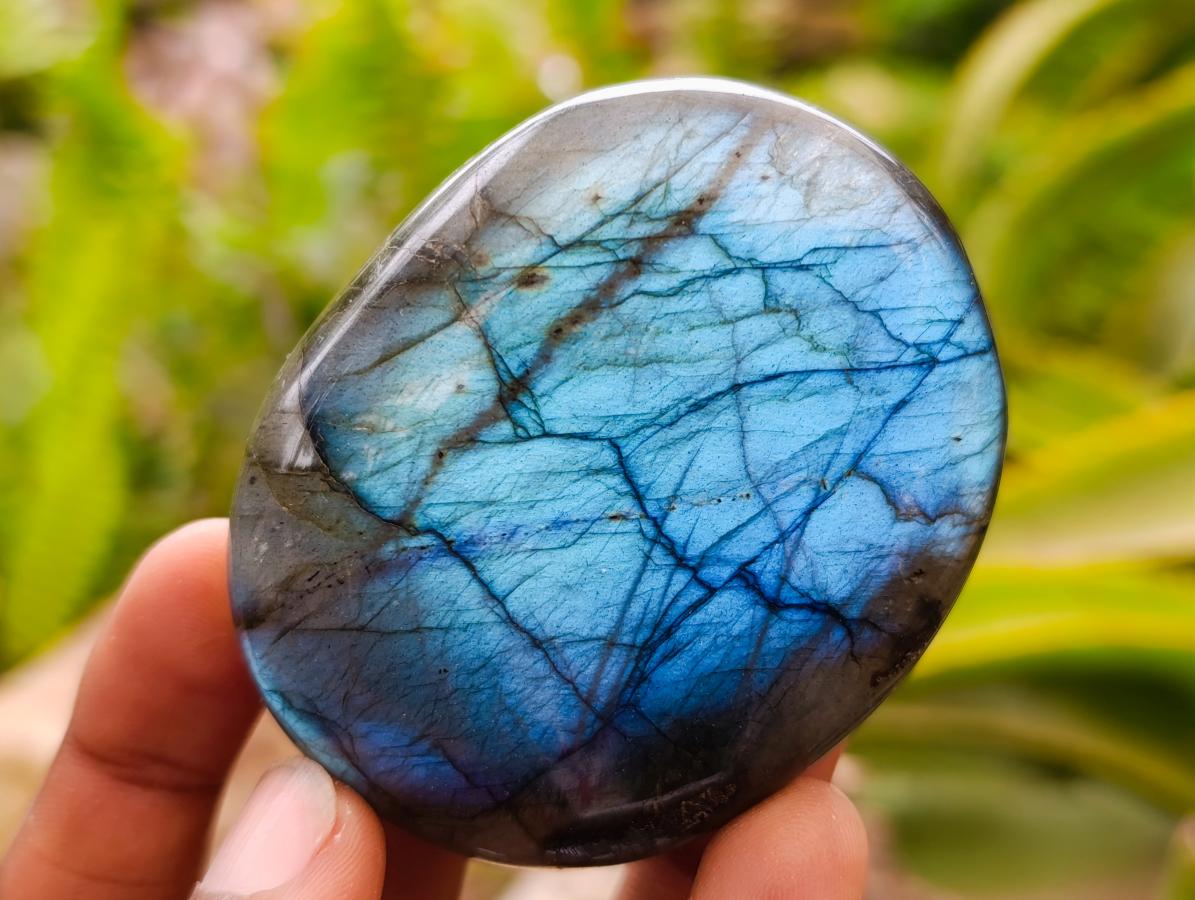Polished Large Labradorite Palm Stones x 12 From Tulear, Madagascar