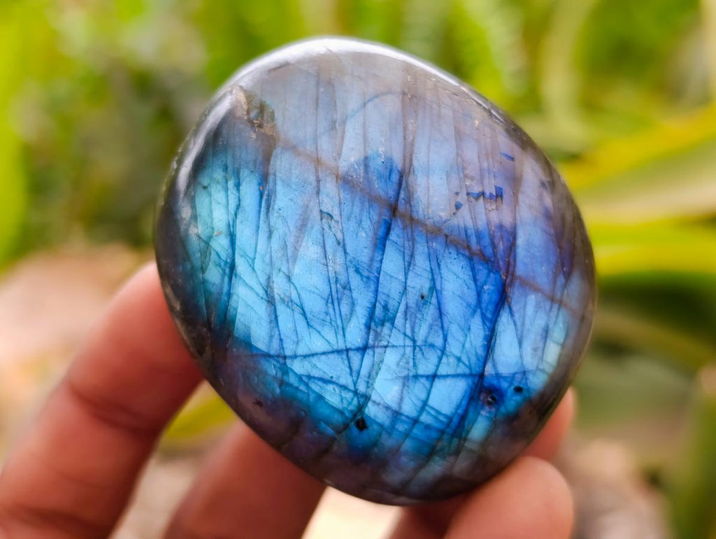 Polished Large Labradorite Palm Stones x 12 From Tulear, Madagascar