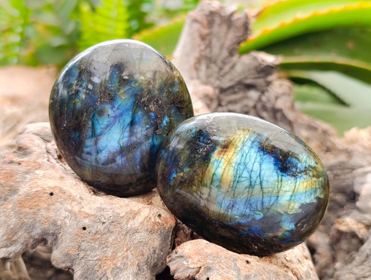 Polished Large Labradorite Palm Stones x 12 From Tulear, Madagascar