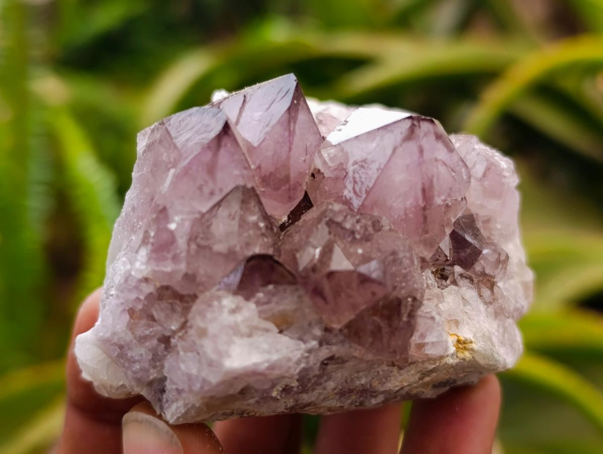 Natural Amethyst Spirit Clusters x 6 From Boekenhouthoek, South Africa