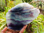 Polished On One Side Watermelon Fluorite Slices x 2 From Uis, Namibia