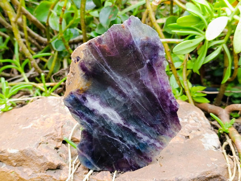Polished On One Side Watermelon Fluorite Slices x 2 From Uis, Namibia