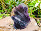 Polished On One Side Watermelon Fluorite Slices x 2 From Uis, Namibia