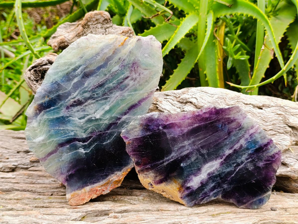 Polished On One Side Watermelon Fluorite Slices x 2 From Uis, Namibia