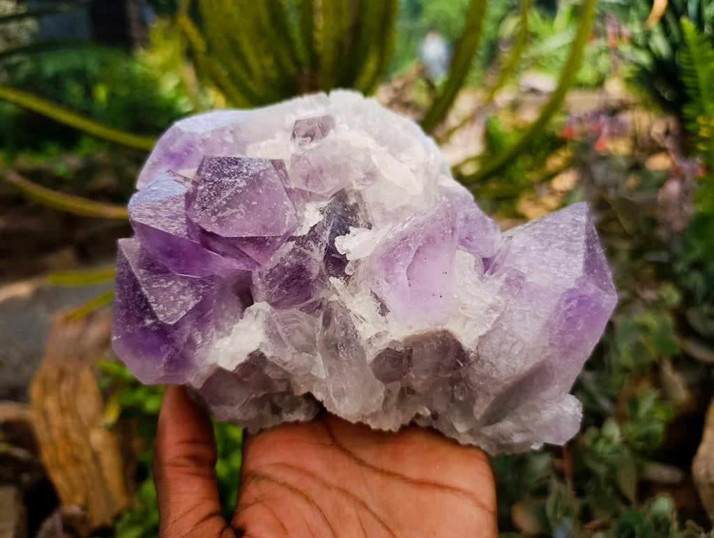Natural Jacaranda Amethyst Crystal Clusters x 2 From Mumbwa, Zambia