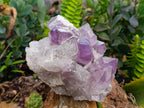 Natural Jacaranda Amethyst Crystal Clusters x 2 From Mumbwa, Zambia