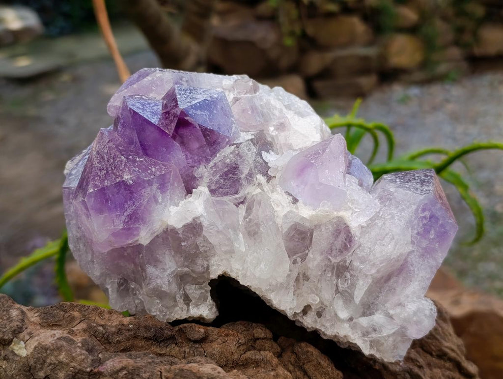 Natural Jacaranda Amethyst Crystal Clusters x 2 From Mumbwa, Zambia