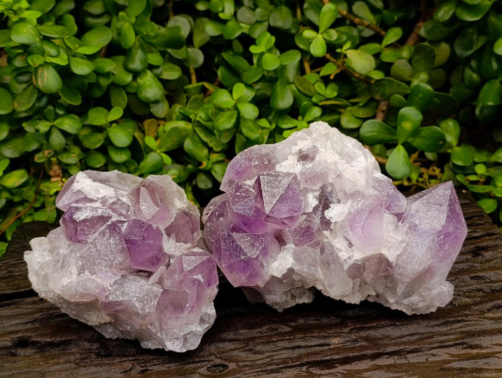 Natural Jacaranda Amethyst Crystal Clusters x 2 From Mumbwa, Zambia