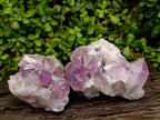 Natural Jacaranda Amethyst Crystal Clusters x 2 From Mumbwa, Zambia