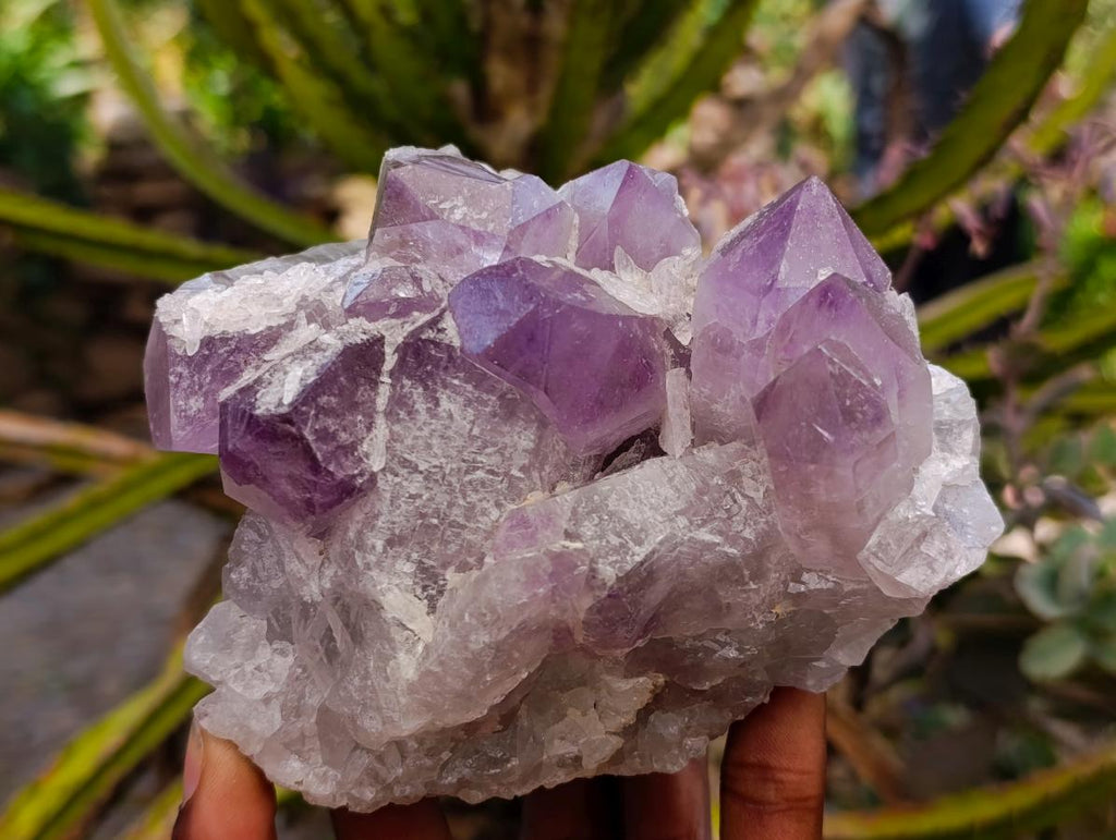 Natural Jacaranda Amethyst Crystal Clusters x 2 From Mumbwa, Zambia