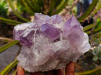 Natural Jacaranda Amethyst Crystal Clusters x 2 From Mumbwa, Zambia
