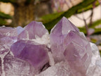 Natural Jacaranda Amethyst Crystal Clusters x 2 From Mumbwa, Zambia