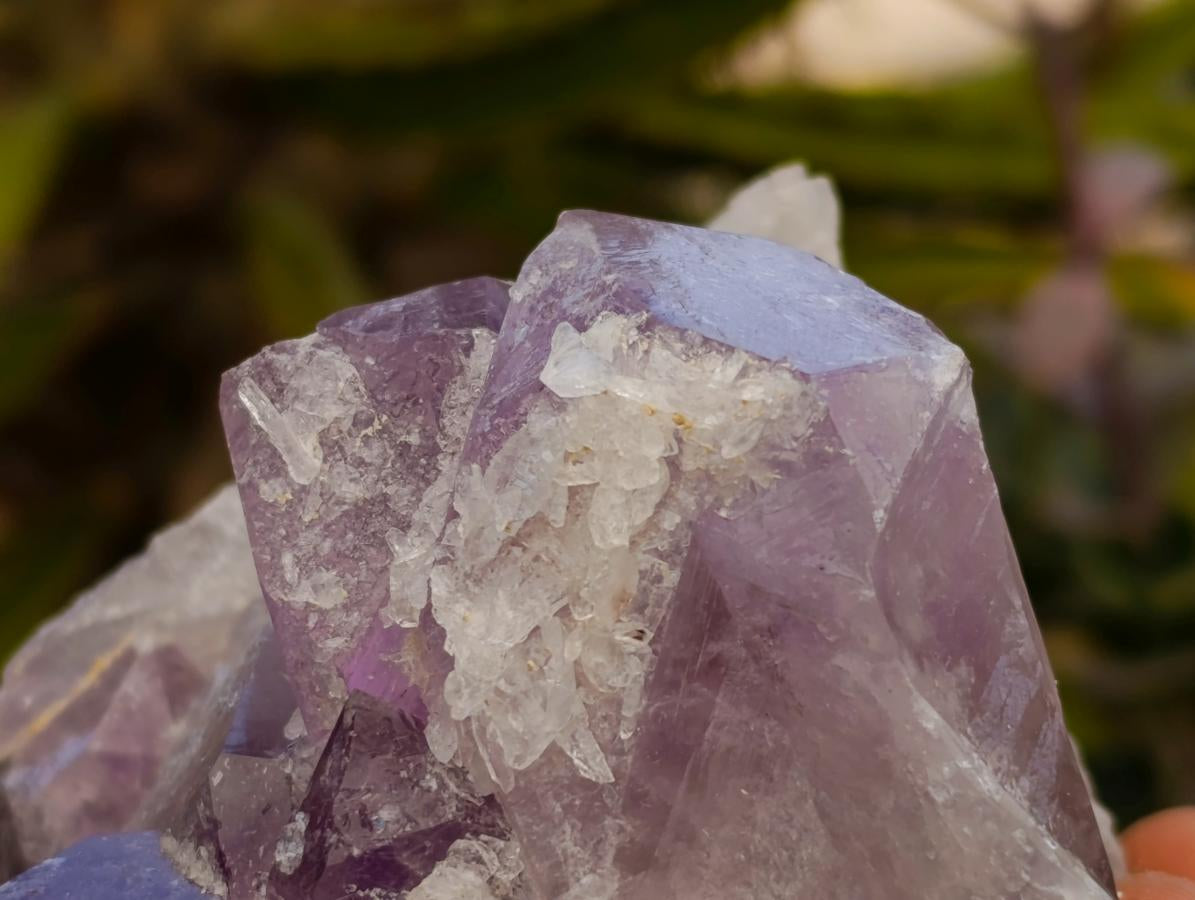 Natural Jacaranda Amethyst Crystal Clusters x 2 From Mumbwa, Zambia