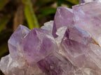 Natural Jacaranda Amethyst Crystal Clusters x 2 From Mumbwa, Zambia