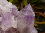 Natural Jacaranda Amethyst Crystal Clusters x 2 From Mumbwa, Zambia