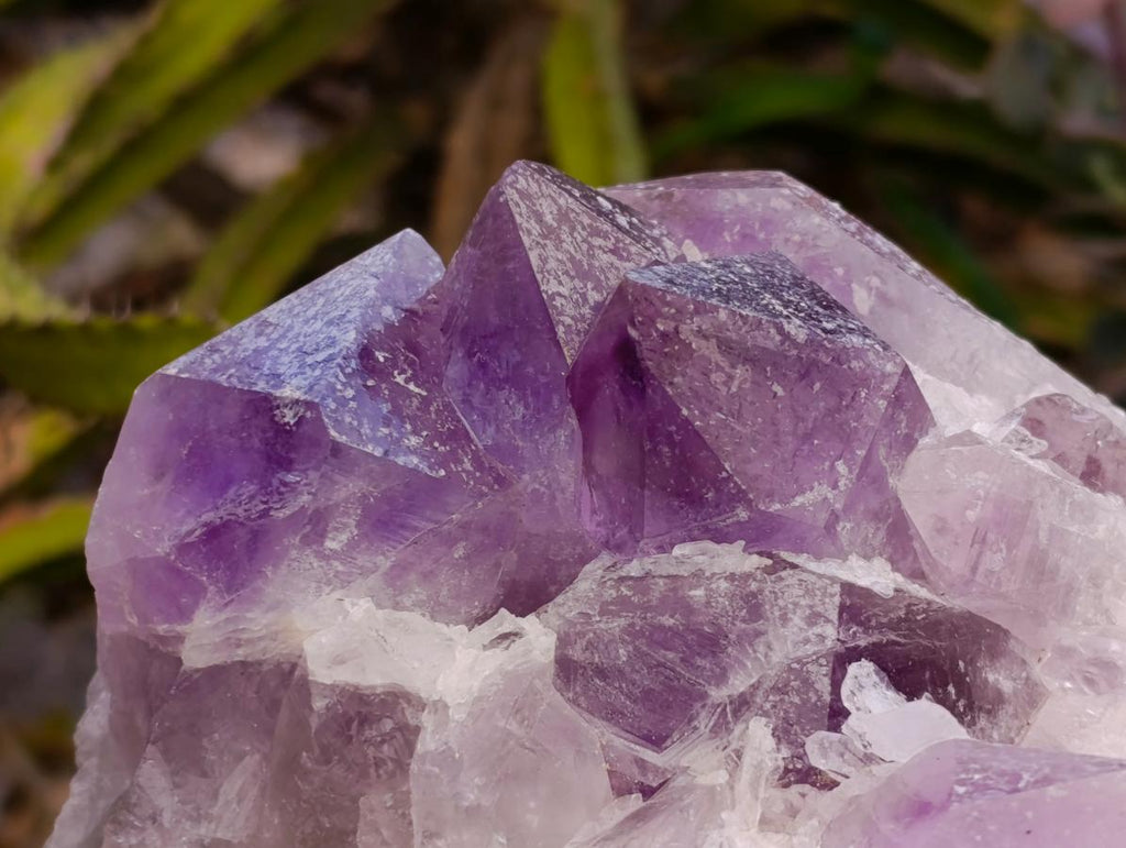 Natural Jacaranda Amethyst Crystal Clusters x 2 From Mumbwa, Zambia