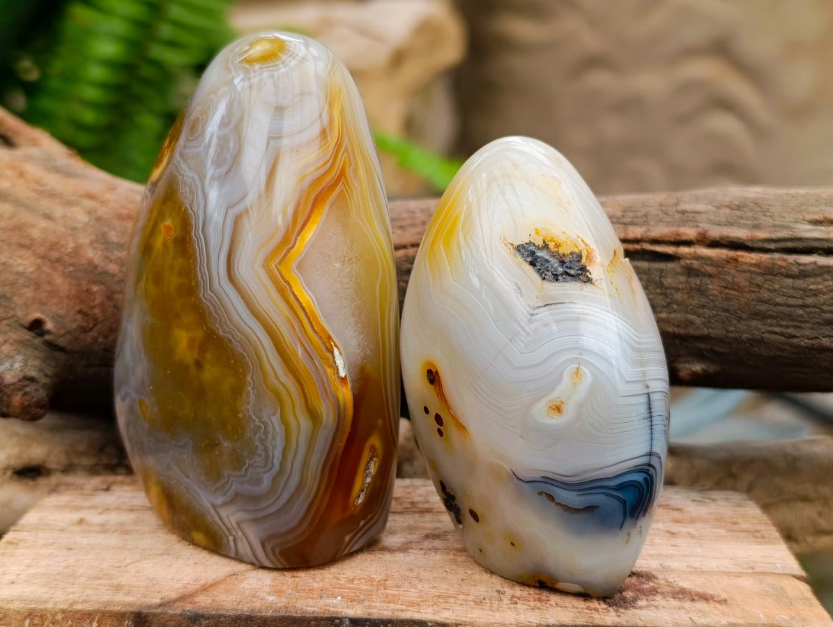 Polished Banded Agate Standing Free Forms x 6 From Madagascar