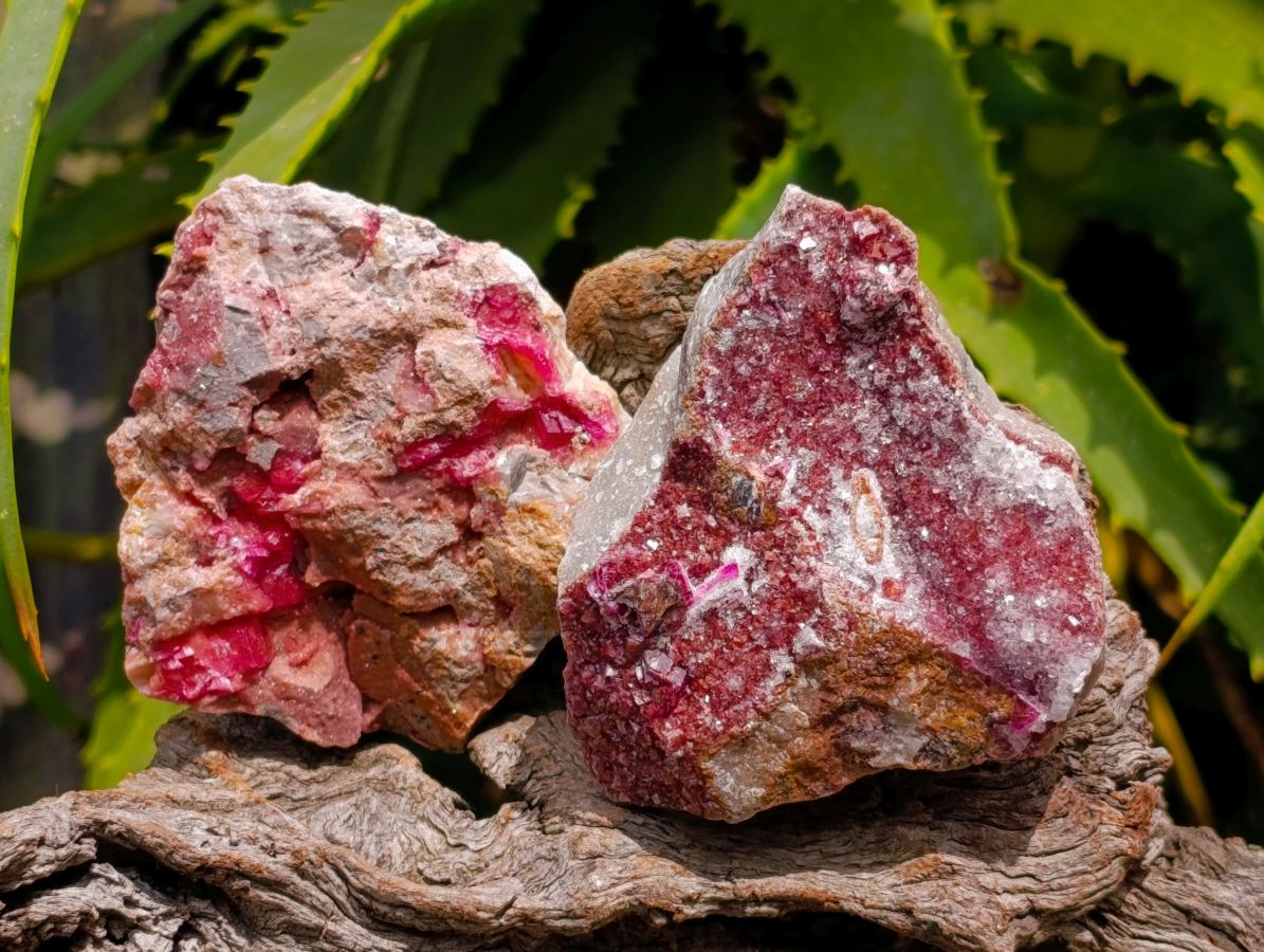 Natural Salrose Cobaltion Dolomite Specimens x 12 From Kakanda, Congo