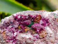 Natural Salrose Cobaltion Dolomite Specimens x 12 From Kakanda, Congo