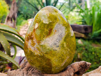 Polished Green Opal Standing Free Form x 1 From Betroka, Madagascar