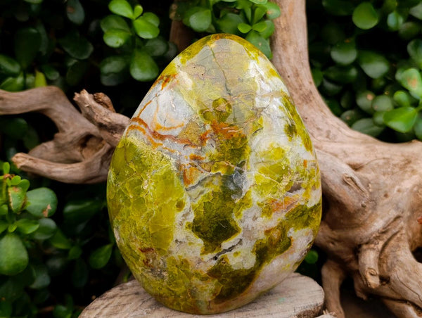 Polished Green Opal Standing Free Form x 1 From Betroka, Madagascar