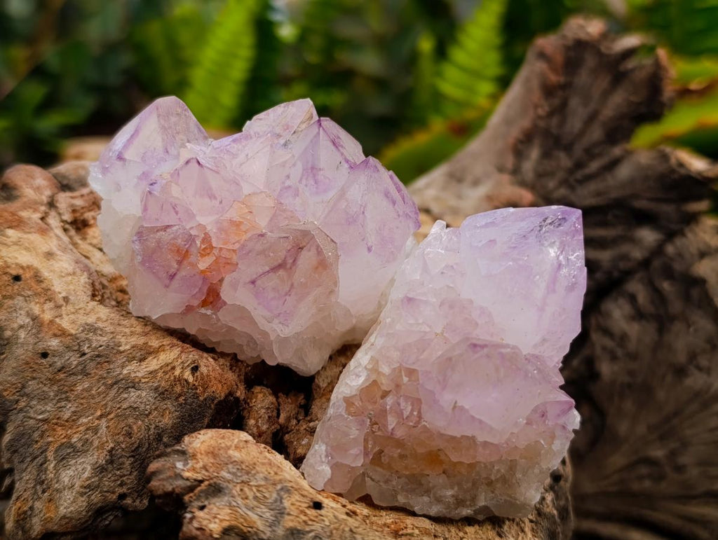 Sunburst Rocks Natural Sunburst Amethyst Spirit Clusters x 20 From Boekenhouthoek, So ...
