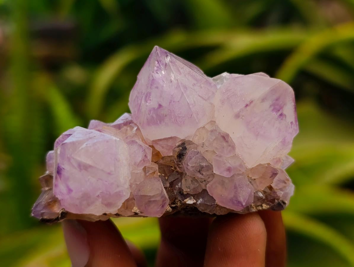 Natural Sunburst Amethyst Spirit Clusters x 20 From Boekenhouthoek, South Africa