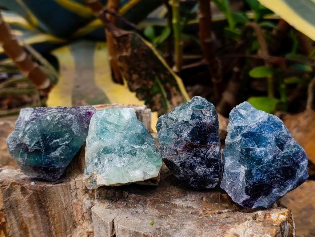 Natural Watermelon Fluorite Cobbed Specimens x 24 From Uis, Namibia