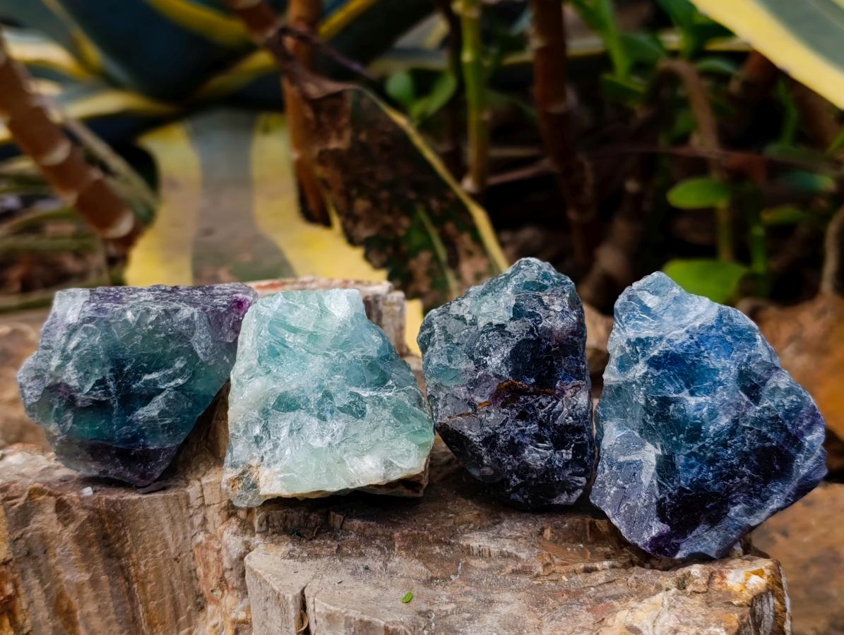 Natural Watermelon Fluorite Cobbed Specimens x 24 From Uis, Namibia