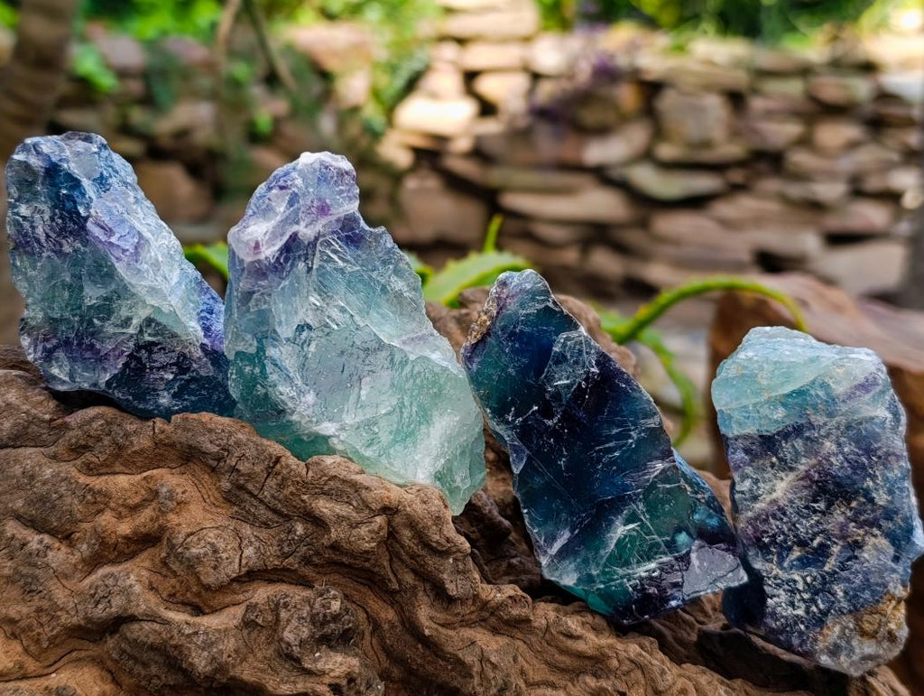 Natural Watermelon Fluorite Cobbed Specimens x 24 From Uis, Namibia