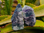 Natural Watermelon Fluorite Cobbed Specimens x 24 From Uis, Namibia