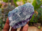 Natural Watermelon Fluorite Cobbed Specimens x 24 From Uis, Namibia