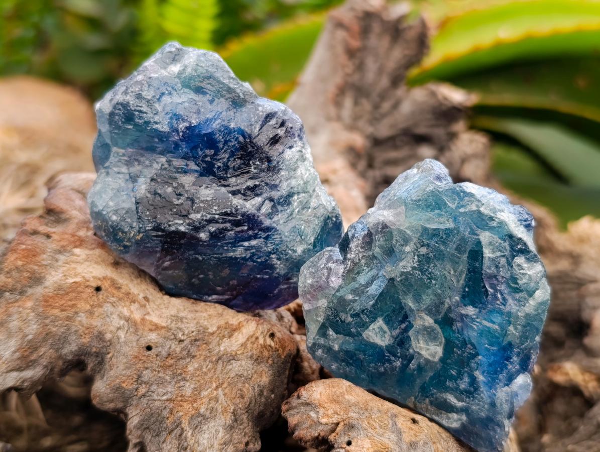 Natural Watermelon Fluorite Cobbed Specimens x 24 From Uis, Namibia