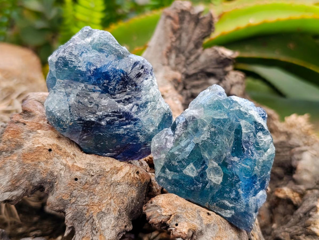 Natural Watermelon Fluorite Cobbed Specimens x 24 From Uis, Namibia